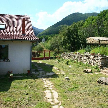 Cuibul Salamandrelor Otel Sarmizegetusa Dış mekan fotoğraf
