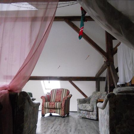 Cuibul Salamandrelor Otel Sarmizegetusa Dış mekan fotoğraf
