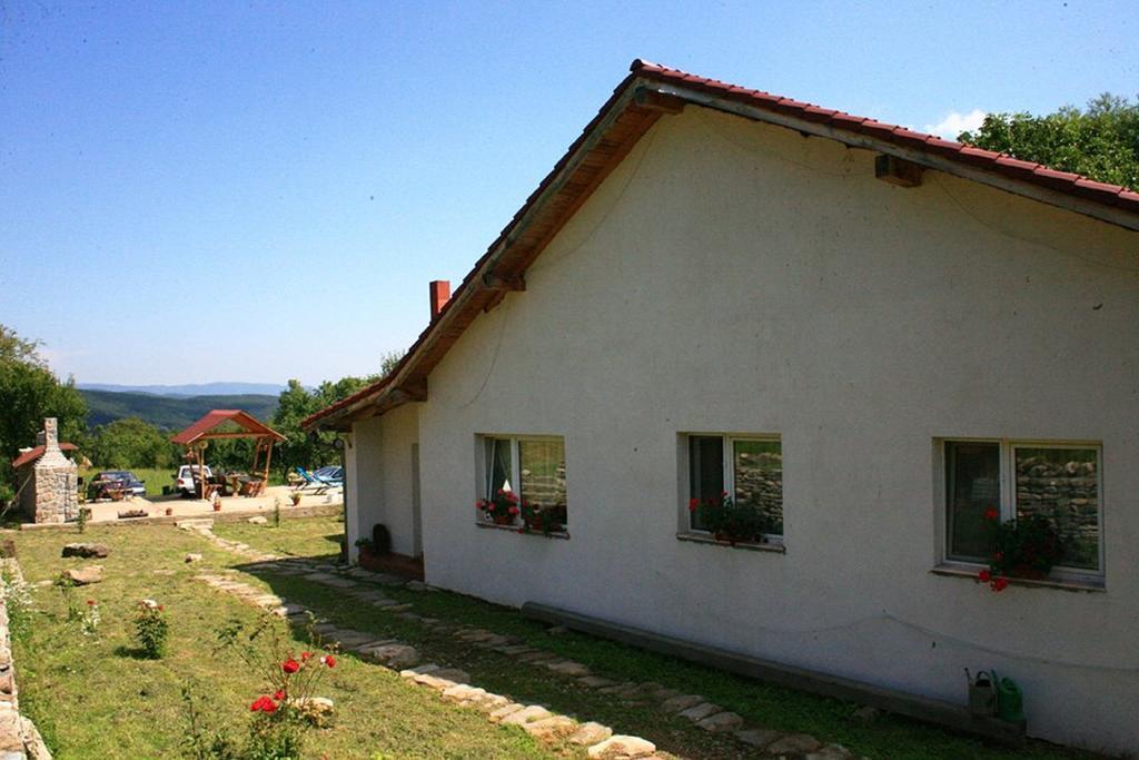 Cuibul Salamandrelor Otel Sarmizegetusa Dış mekan fotoğraf