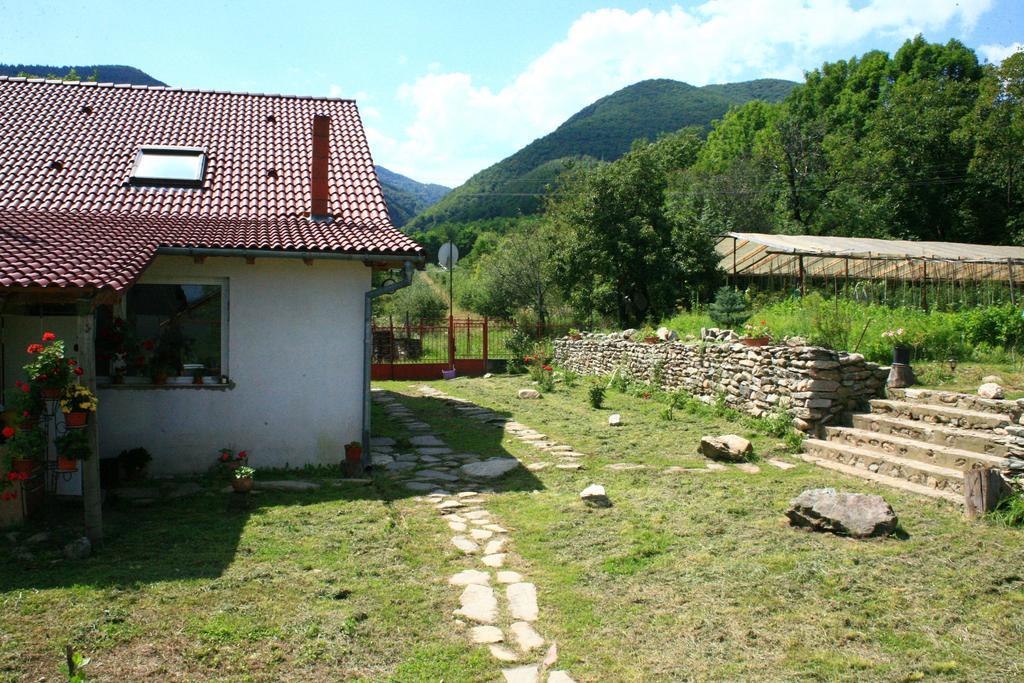 Cuibul Salamandrelor Otel Sarmizegetusa Dış mekan fotoğraf