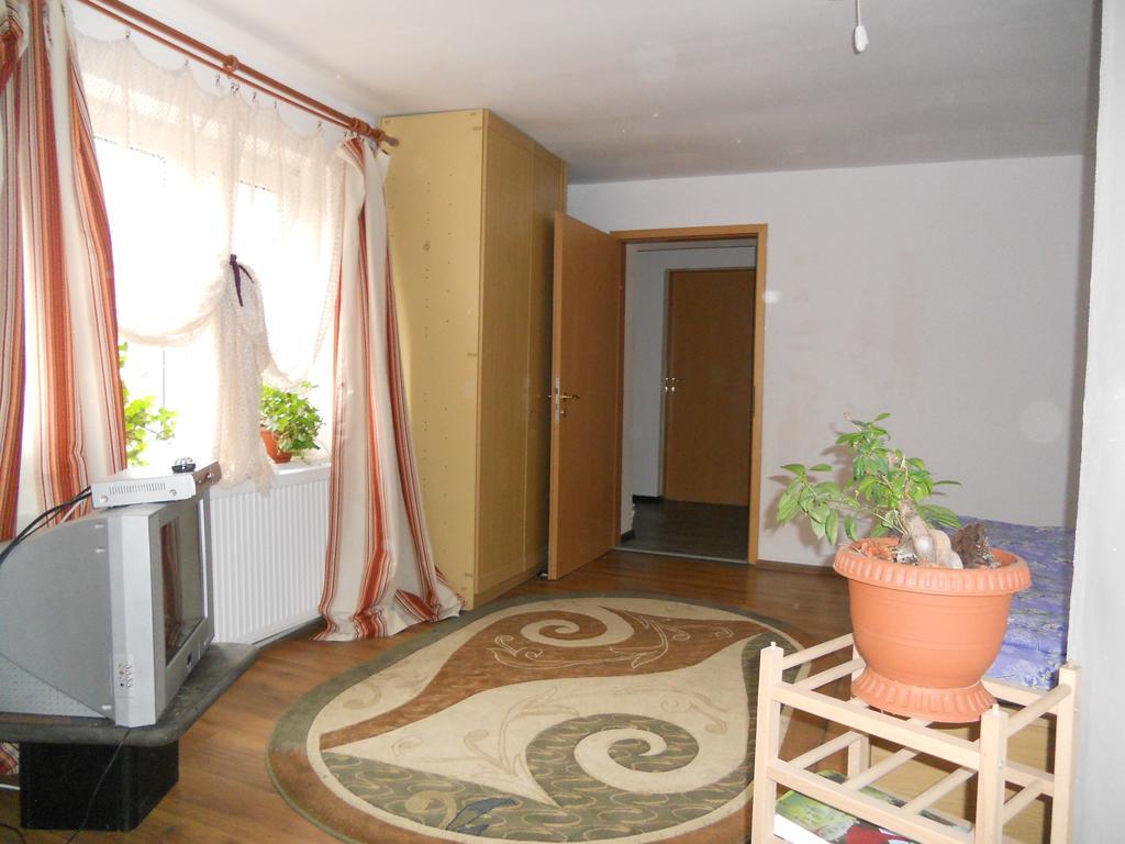 Cuibul Salamandrelor Otel Sarmizegetusa Dış mekan fotoğraf