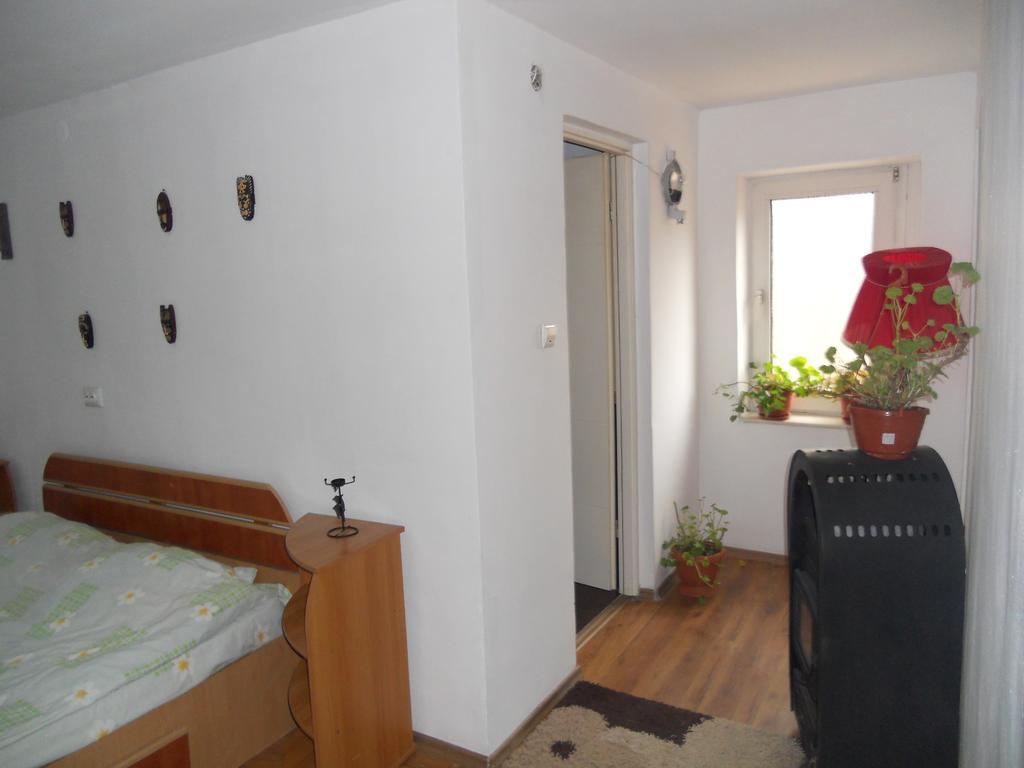 Cuibul Salamandrelor Otel Sarmizegetusa Dış mekan fotoğraf