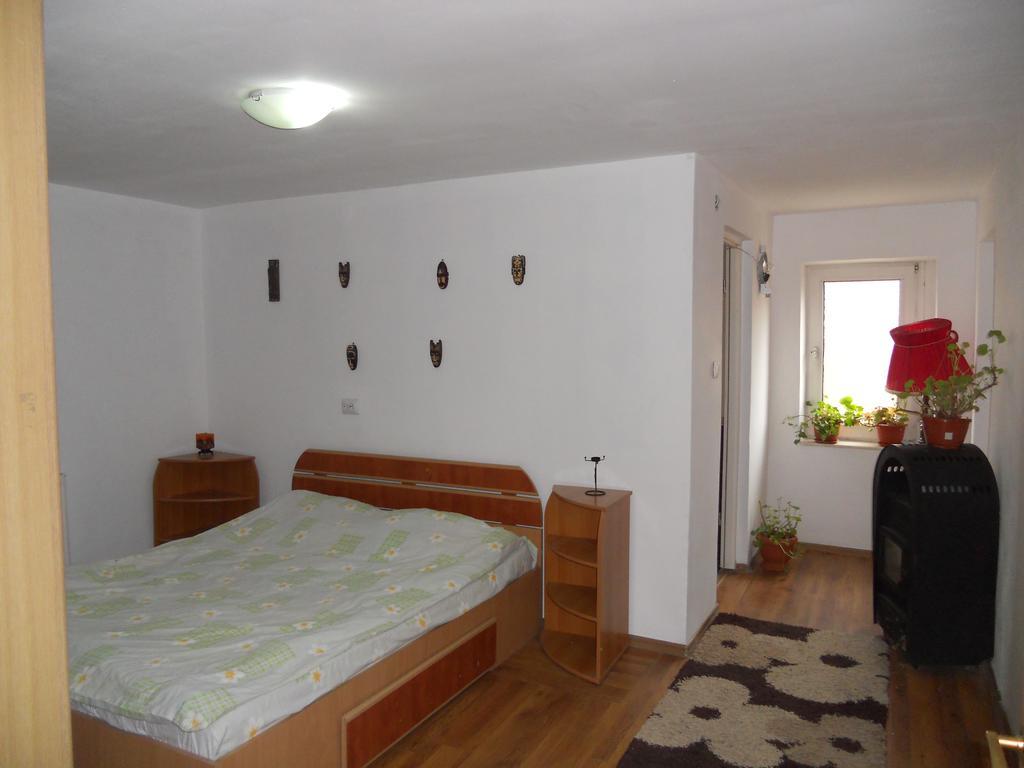Cuibul Salamandrelor Otel Sarmizegetusa Dış mekan fotoğraf