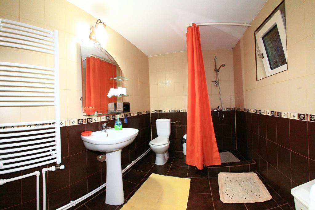 Cuibul Salamandrelor Otel Sarmizegetusa Oda fotoğraf